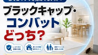 家でゴキブリを見たくない人へ｜ブラックキャップ・コンバットの選び方と置き方を解説